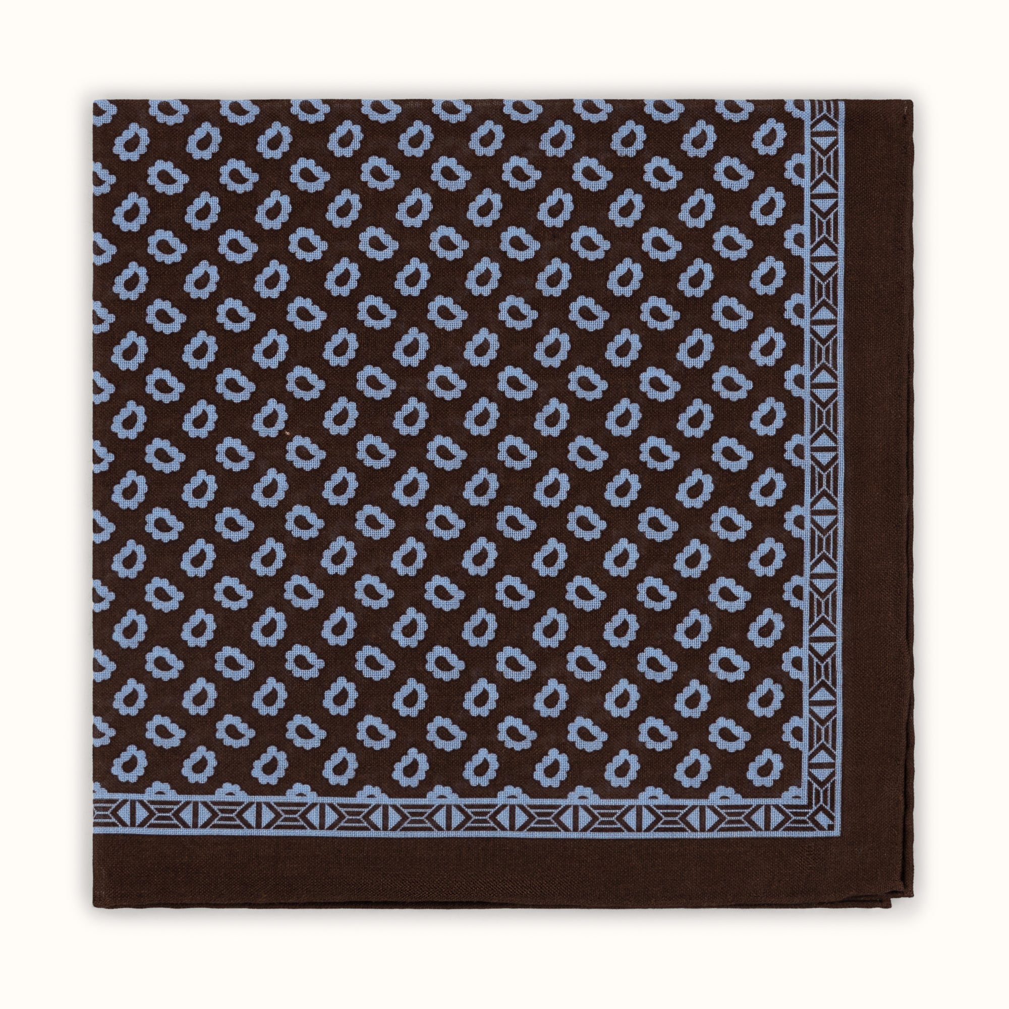 Brown & Sky Paisley Pocket Square